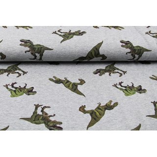 French Terry Digitalprint T-REX grau meliert