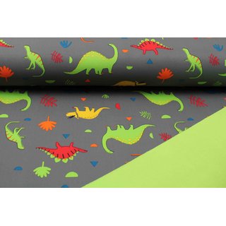Softshell bunte Dinos dunkelgrau