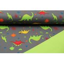 Softshell bunte Dinos dunkelgrau