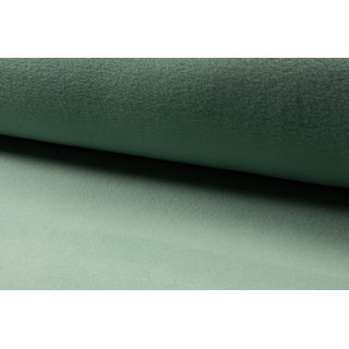 Antipilling Fleece dusty green