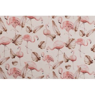 BIO-Jersey Digitalprint Flamingos ecru