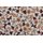 Softshell Digitalprint Schmetterlinge & Blumen offwhite
