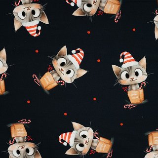 French Terry se Kitty mit Mtze & Zuckerstange navy