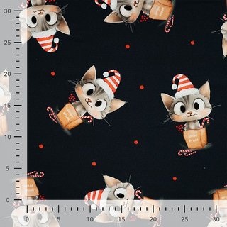 French Terry se Kitty mit Mtze & Zuckerstange navy